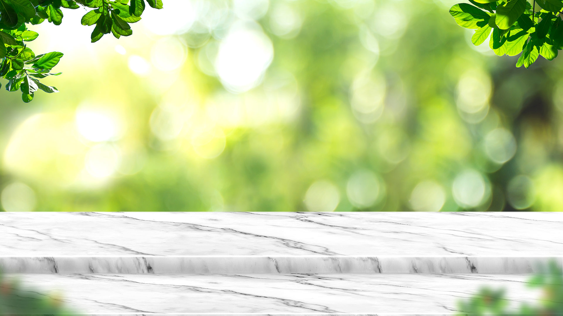 faq_banner Green leaves - calm and organised