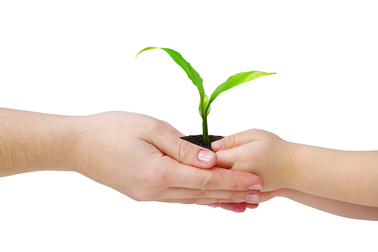 An adult handing a seedling to a child