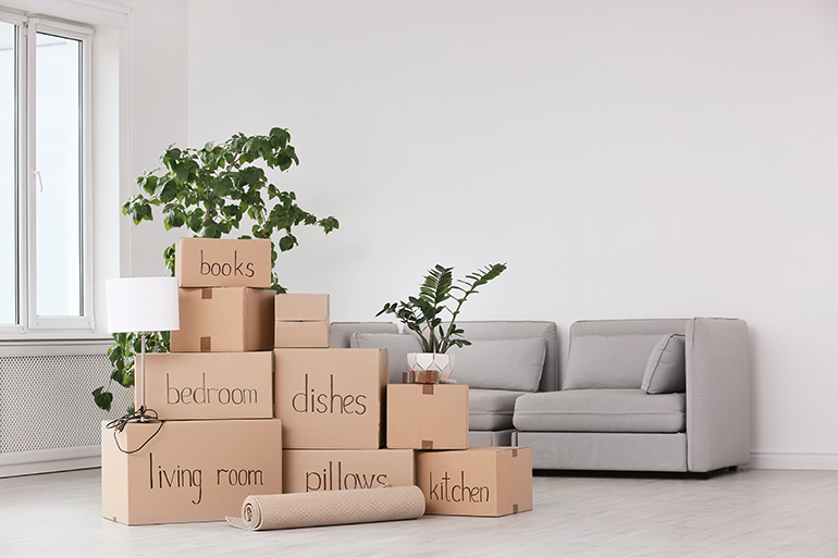 Moving house - boxes neatly labelled