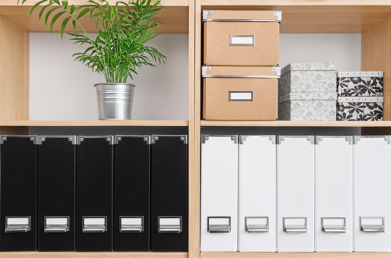 An organised bookshelf with files, boxes and a plant